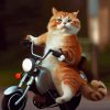 Cat On Motorcycle Diamond Painting