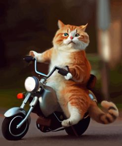 Cat On Motorcycle Diamond Painting