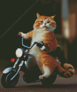 Cat On Motorcycle Diamond Painting