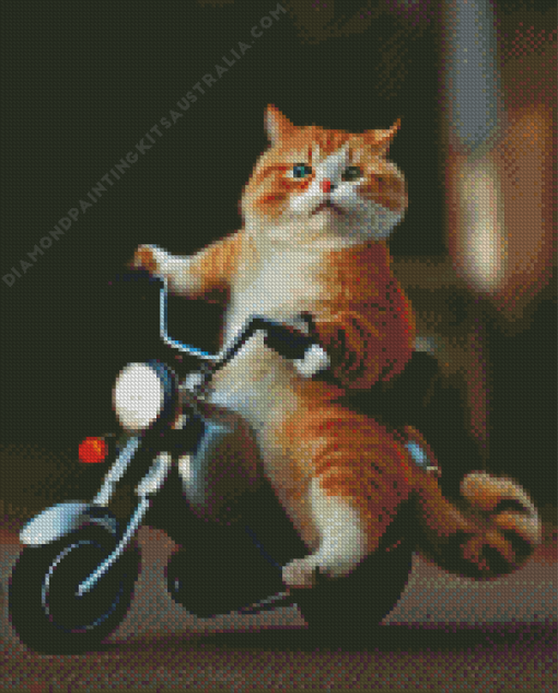 Cat On Motorcycle Diamond Painting