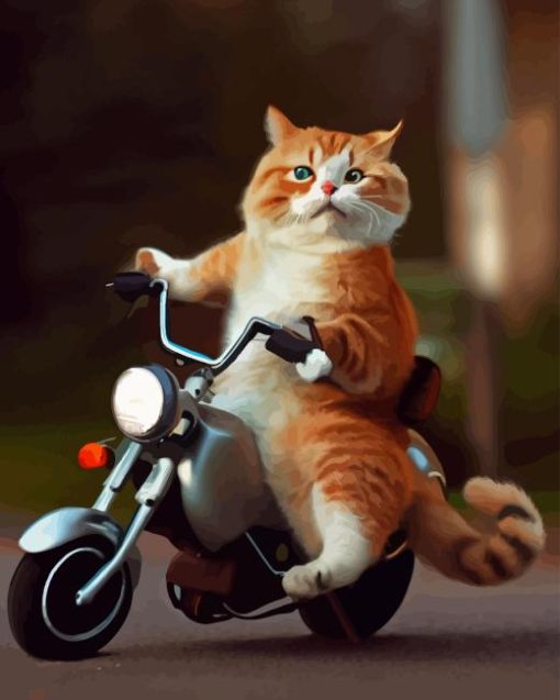 Cat On Motorcycle Diamond Painting