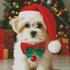 Christmas Puppy Diamond Painting