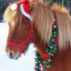 Christmas Shetland Pony Diamond Painting