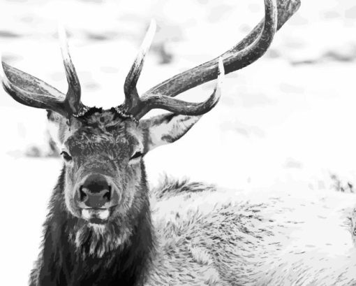 Close Up Elk Diamond Painting