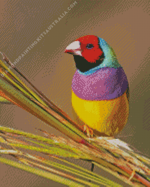 Colorful Gouldian Finch Diamond Painting