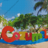 Cozumel Diamond Painting