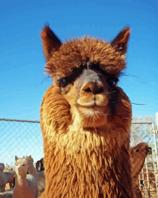 Cute Alpaca Smiling Diamond Painting