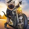 Cute Cat On Motorcycle Diamond Painting