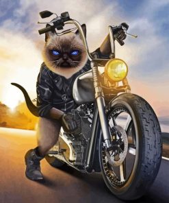 Cute Cat On Motorcycle Diamond Painting