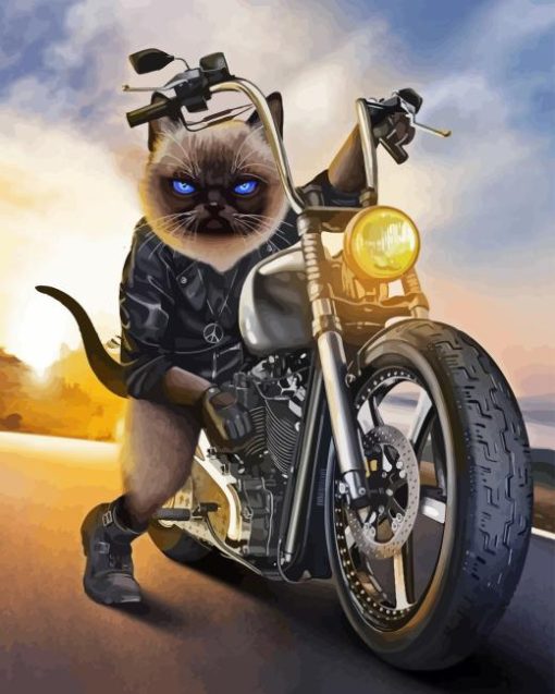 Cute Cat On Motorcycle Diamond Painting