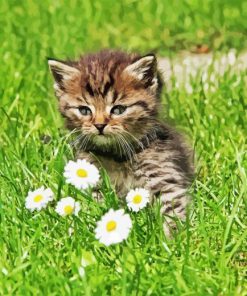 Cute Kitten In Garden Diamond Painting