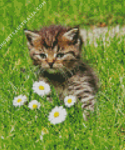 Cute Kitten In Garden Diamond Painting