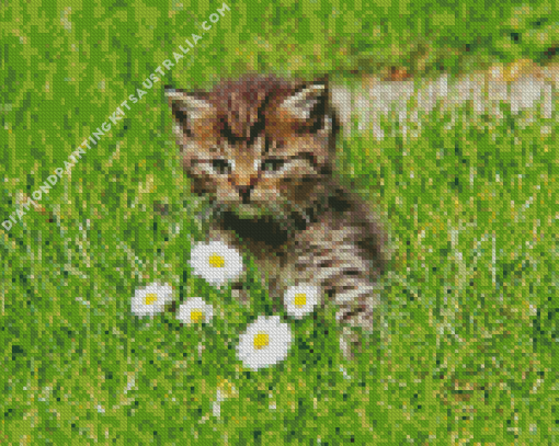 Cute Kitten In Garden Diamond Painting