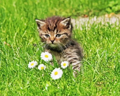 Cute Kitten In Garden Diamond Painting