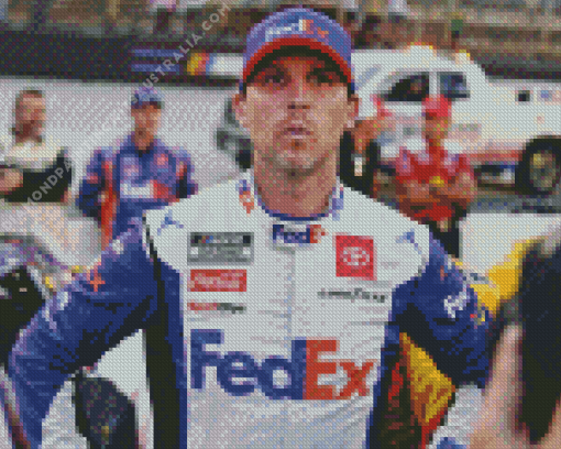 Denny Hamlin Race Car Driver Diamond Painting