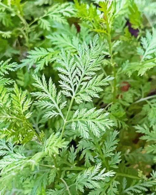 Green Artemisia Diamond Painting