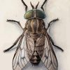 Horse Fly Diamond Painting