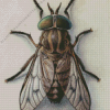 Horse Fly Diamond Painting