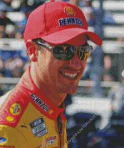 Joey Logano Diamond Painting