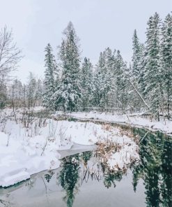 Lake Itasca In Minnesota Diamond Painting