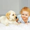 Little Girl With Puppy Diamond Painting