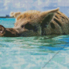 Mini Pig In The Beach Diamond Painting