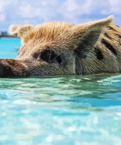 Mini Pig In The Beach Diamond Painting