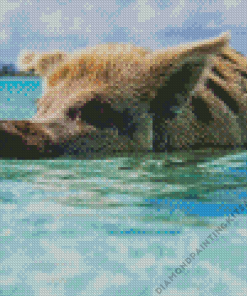 Mini Pig In The Beach Diamond Painting