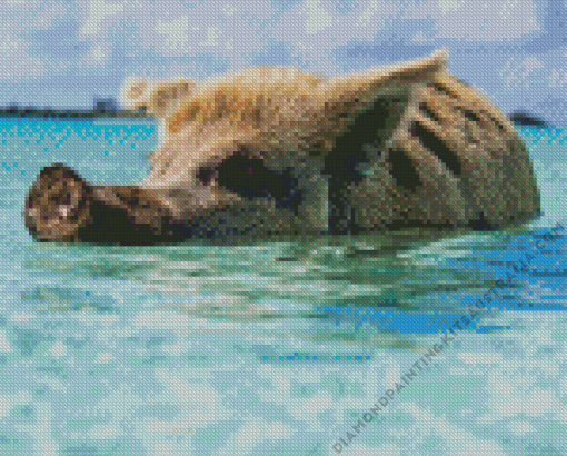 Mini Pig In The Beach Diamond Painting