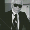 Monochrome Karl Lagerfeld Diamond Painting