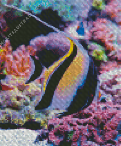 Moorish Idol Underwater Diamond Painting