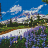 Mountain In The Spring Diamond Painting