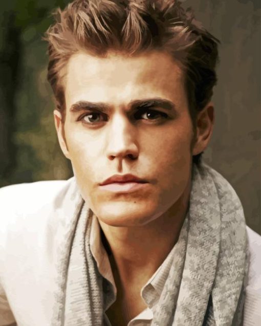 Paul Wesley Actor Diamond Painting