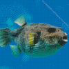 Puffer Fish Underwater Diamond Painting