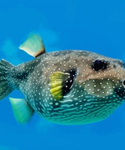 Puffer Fish Underwater Diamond Painting