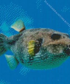 Puffer Fish Underwater Diamond Painting