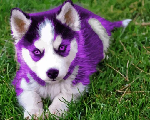 Purple Puppy Diamond Painting