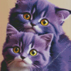 Purple Cats Diamond Painting