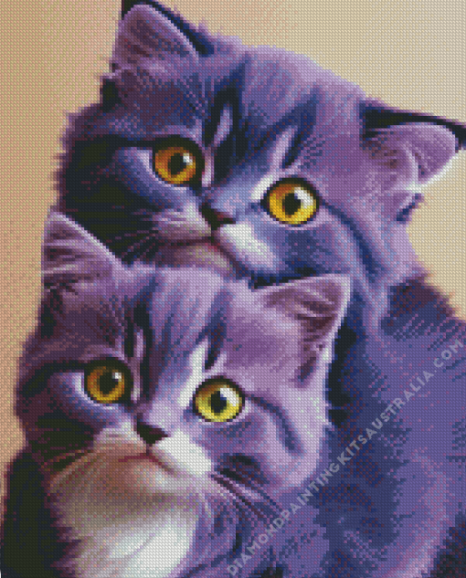 Purple Cats Diamond Painting