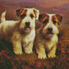 Sealyham Terriers Diamond Painting