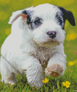 Sealyham Puppy Diamond Painting