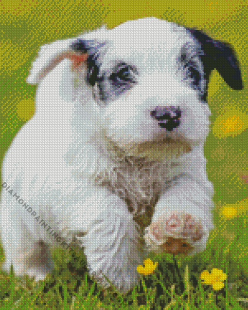 Sealyham Puppy Diamond Painting