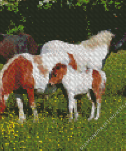 Shetland Ponies In Meadow Diamond Painting