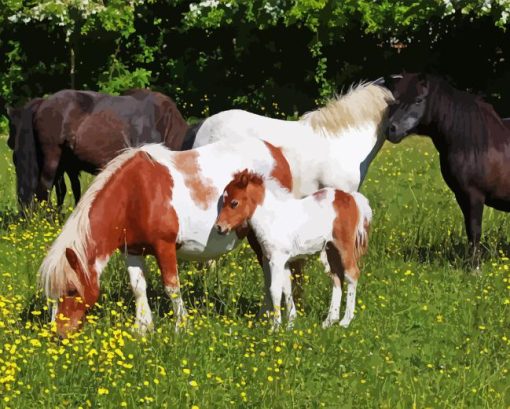 Shetland Ponies In Meadow Diamond Painting