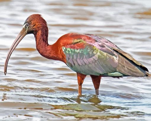 The Glossy Ibis Diamond Painting