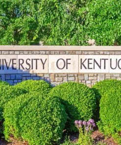 University Of Kentucky In Lexington Diamond Painting