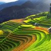 Vietnam Rice Terraces Diamond Painting