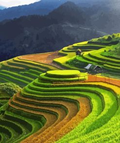 Vietnam Rice Terraces Diamond Painting