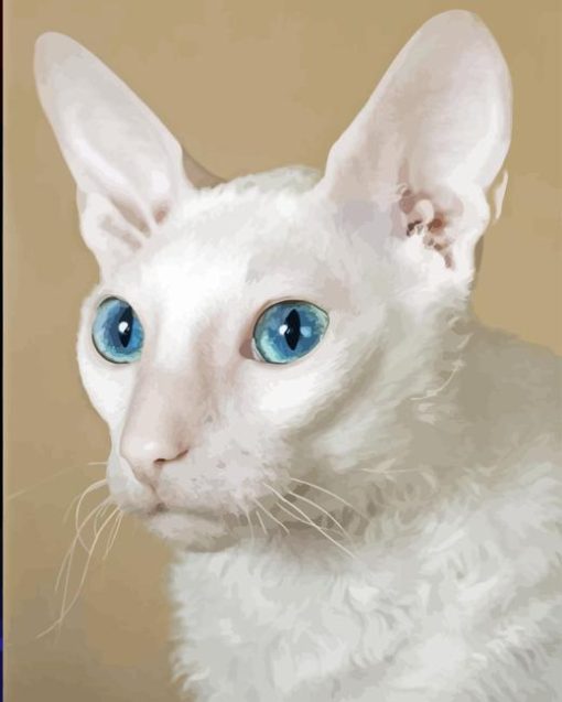 White Devon Rex Cat Diamond Painting