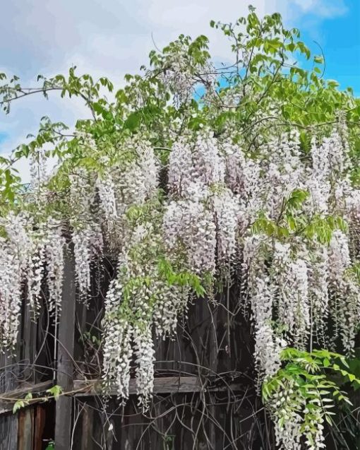 White Wisteria Diamond Painting